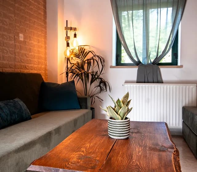 Luxury Suite main view