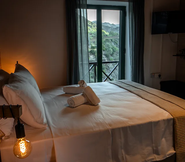 Deluxe Mountain View Room